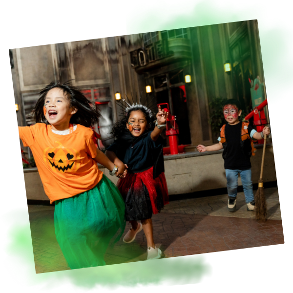 Can You Find All The Spooky Items On Our Fang-tastic Halloween Trail?