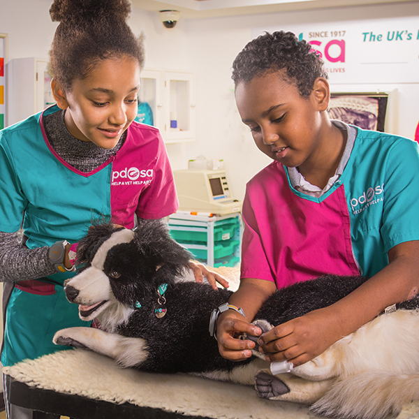 Pet Wellbeing Centre